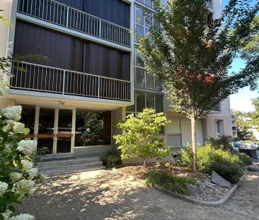 Appartement à louer 3 pièces 70.43m² - Photo 4