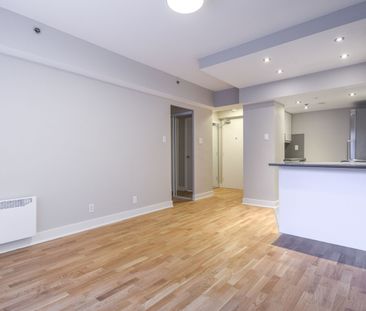 3455 Rue Aylmer - Photo 3