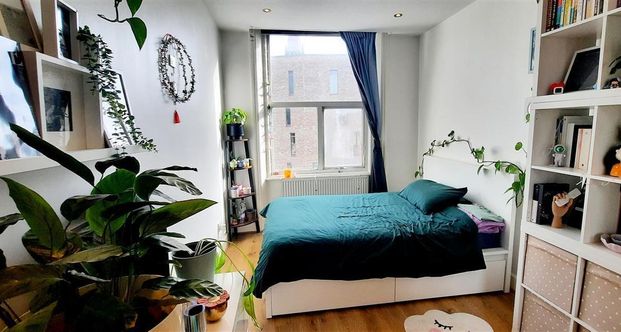 Cambridge Road - Photo 1