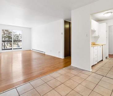 11565 Boul. de Pierrefonds, #319 - Photo 4