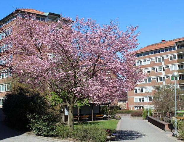 Landalabergen 7 - Photo 1