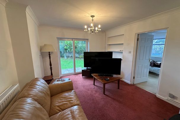 The Street - Photo 1