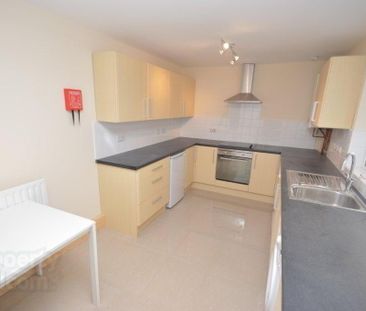 84 Cromwell Road, Belfast, BT7 1JY - Photo 5