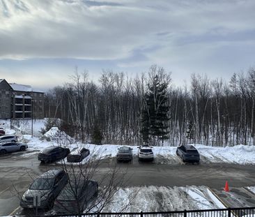 For Lease - 40 Ferndale Drive Unit# 207, Barrie, Ontario - Photo 1