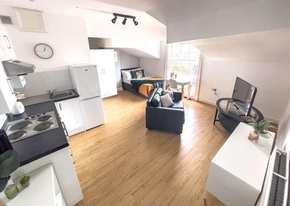 Upper Parliament Street, L8 - Photo 1