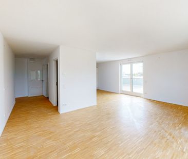 Ganz oben angekommen: Exklusive Penthouse-Wohnung - Photo 5