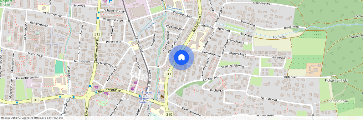 Baumgartenweg 1, 4106 Therwil