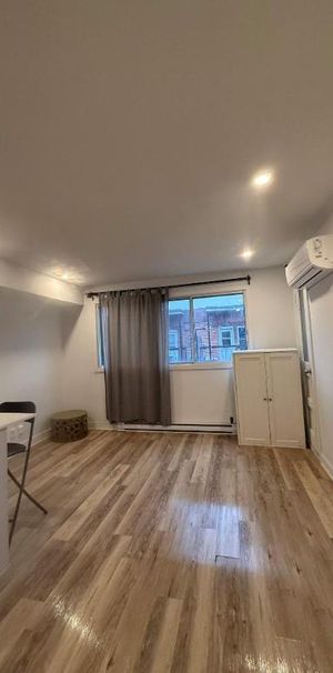 1 CH - 1 SDB - Montréal - $1,145 /mo - Photo 1