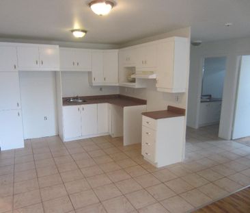 BEAU 4 1/2 LIBRE AU 1ER JUILLET DELSON RIVE SUD - Photo 1