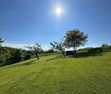 Charming, newly renovated apartment with a view of the countryside - Photo 6