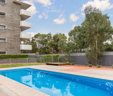 71/8 Baudinette Circuit, Bruce ACT 2617 - Apartment For Rent | Domain - Photo 6