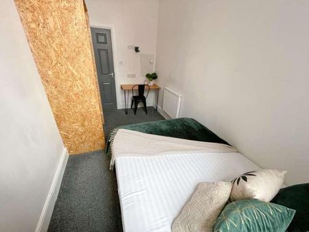 Holmes Street, L8 - Photo 3