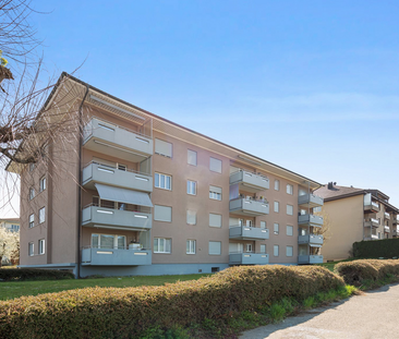 2.5-Zimmer-Wohnung im Hochparterre in Reinach AG - Photo 3