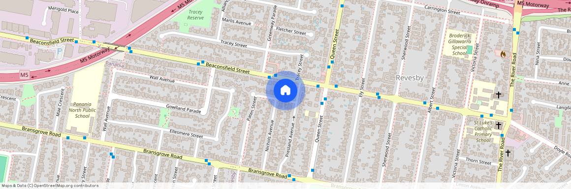 93 Paten Street, NSW 2212, Revesby