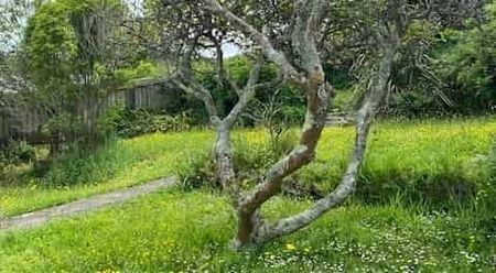 Gardeners delight - Photo 5