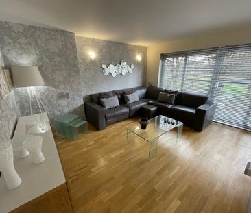 3 bedroom house to rent - Photo 6