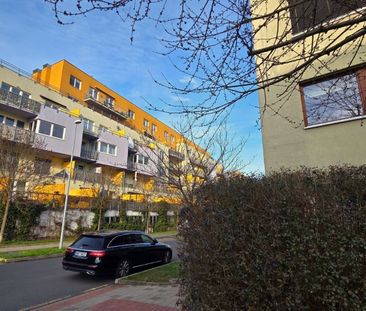 Apartment for rent, 1+KK - Studio, 32m - Photo 1