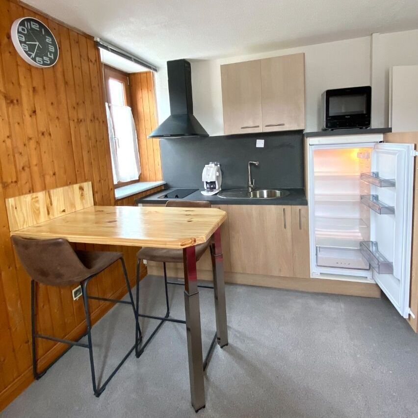 Appartement T2 meublé avec cave, proche SUISSE - Photo 1