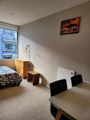 Fully furnished city fringe studio - Photo 1