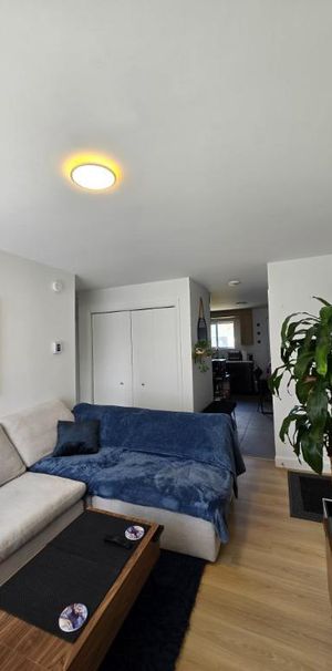**RABAIS 50% SUR LE PREMIER MOIS ** Appartement 4 1/2 rénové à louer à Lévis (St-Romuald) à 4 minutes des ponts - Photo 1