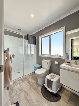 3 bedroom home in Lower Hutt - Photo 1