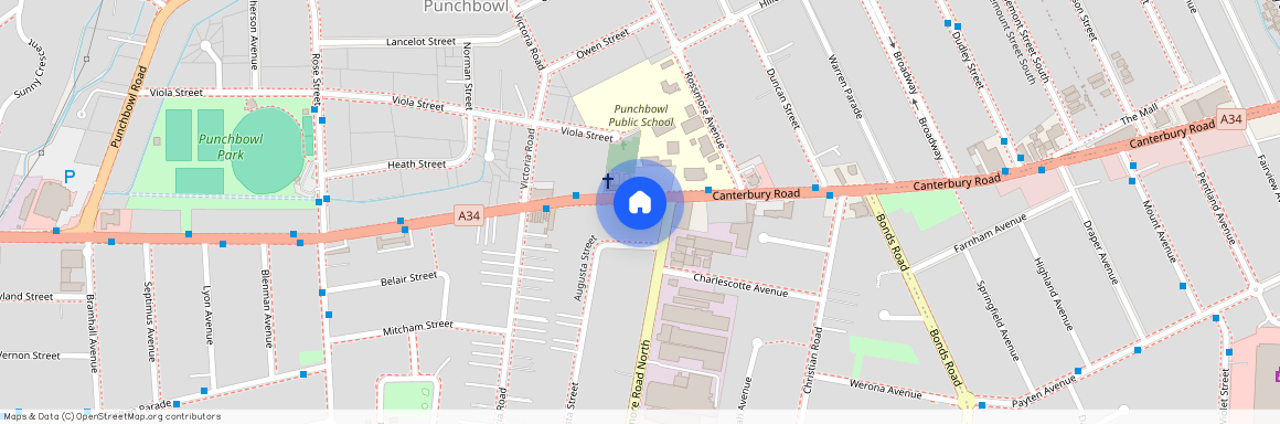 1390 Canterbury RD, NSW 2196, Punchbowl