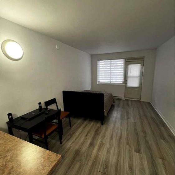 GHETTO MCGILL- STUDIO RENOVÉ & MEUBLÉ- EMPLACEMENT EXCEPTIONNEL - Photo 1