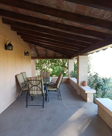 Diseminado Poligono 3, 490A, 07470, Illes Balears, Spain, Pollença, Balearic Islands 07460 - Photo 2