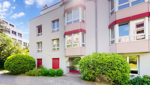 Apartment in zentraler Lage, mit Balkon und Zooblick - Foto 1