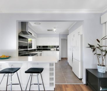 38 Stephen St, Ainslie ACT 2602 - House For Rent | Domain - Photo 5