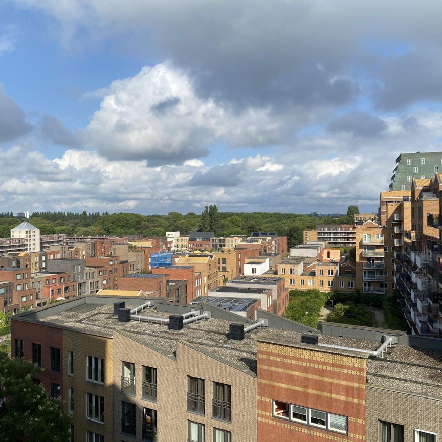 Te huur: Appartement Paradijslaan in Rotterdam - Foto 1