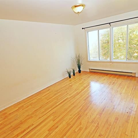 3509 Rue Soubirous - Photo 1