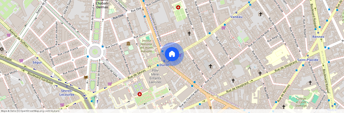 Rue de Sèvres et Bld des Invalides 75007 Paris (7e arrondissement)