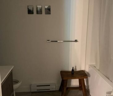 379 Broadway Street E #303, Vancouver, BC V5T1W6 - Photo 5