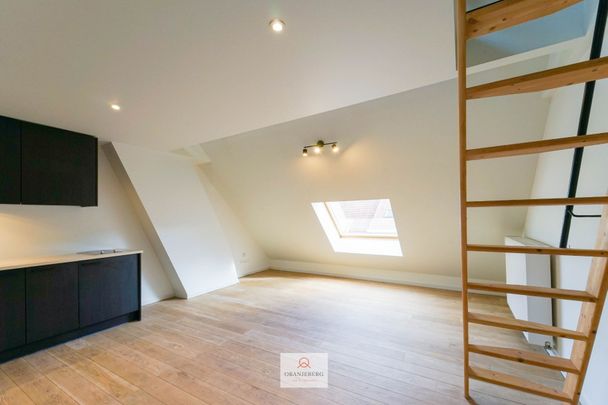 Woonst met mezzanine te huur vlakbij Gent centrum - Foto 1