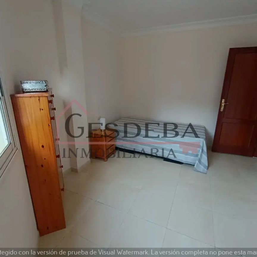 Santa Úrsula - Photo 1