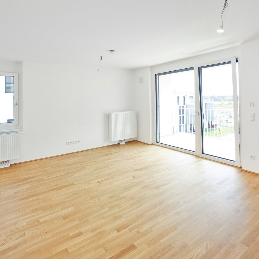 DER BALLON - Ankommen und abheben - NATURNAHES WOHNEN NAHE DER SEESTADT ASPERN - Photo 1