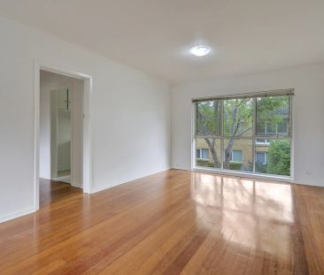 Spacious, light-filled apartment in the heart of Sandringham - Photo 4