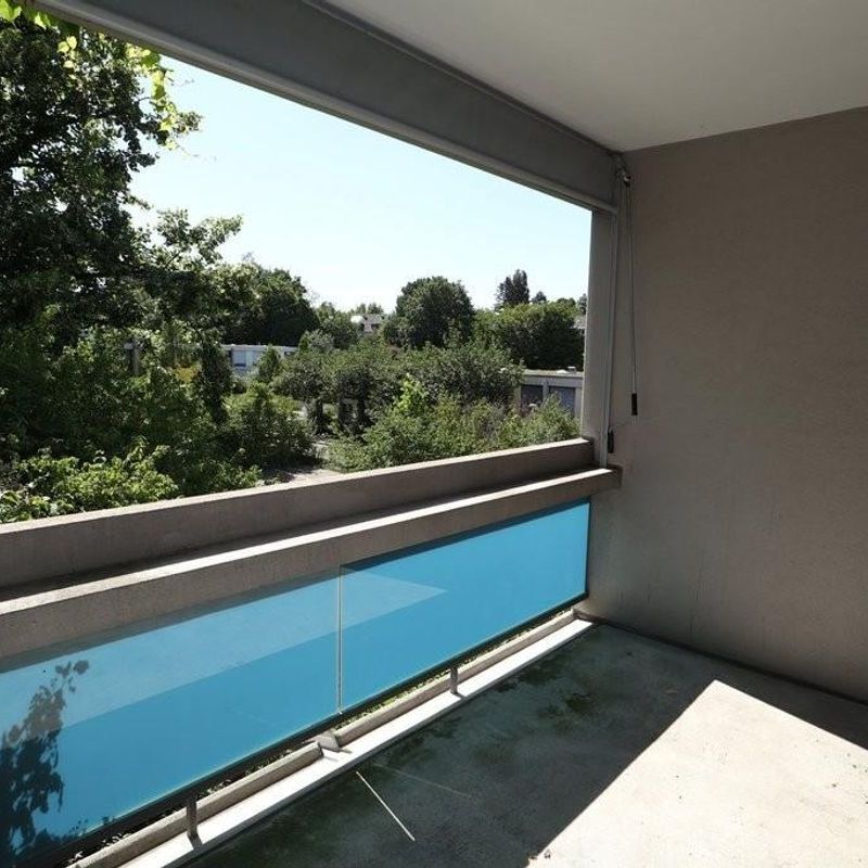 Klein, aber fein – Wohnen auf dem Bruderholz - Foto 1