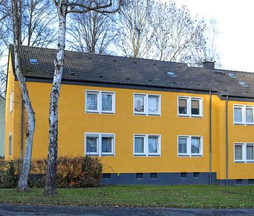 2-Zimmer-Wohnung in Dortmund Bodelschwingh - Foto 3