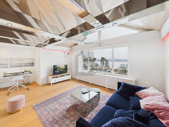 PANORAMIC VIEW OF THE BODENSEE - Foto 1