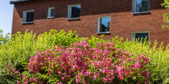 Åbymovägen 18 - Foto 3