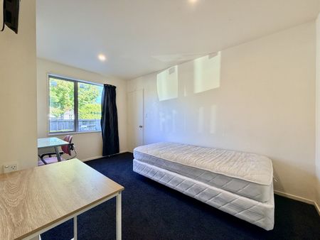 88 Creyke Road, Ilam - Photo 5