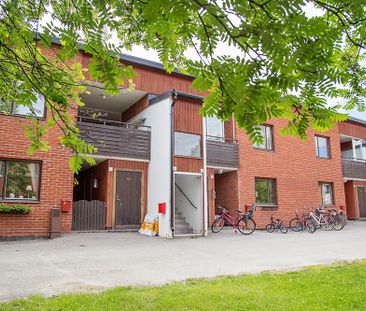 Ankarskatavägen 78 E, 94164, Piteå - Photo 5