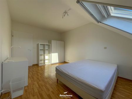 Studios en coliving libre de suite - Photo 3