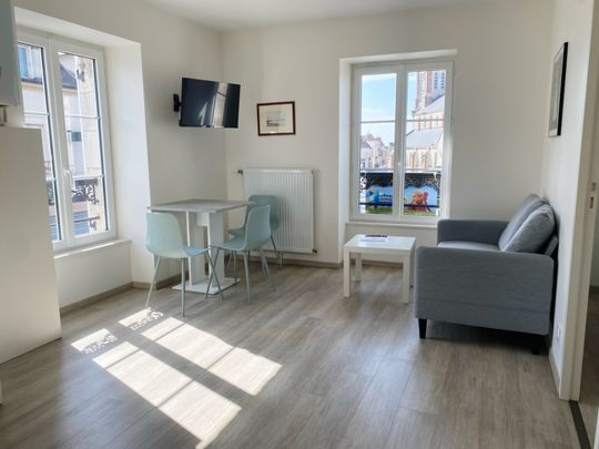 Location Appartement 1 pièce 27m² OUZOUER SUR LOIRE 45570 - Photo 1