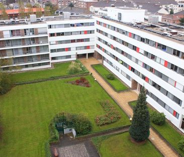 Location Appartement 1 pièce 20m² LILLE 59000 - Photo 2