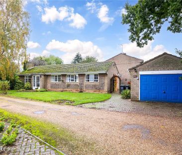 3 bedroom detached house to rent - Photo 4
