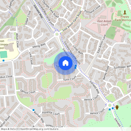 Turin Court, Andover, SP10