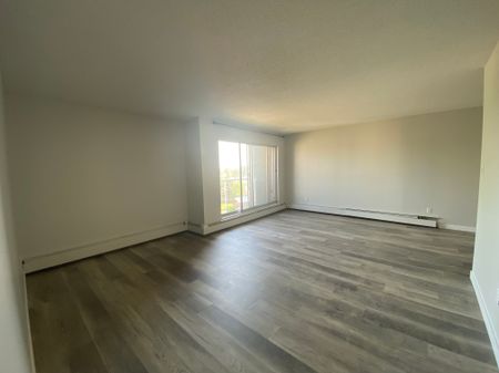 Palisades Manor - Photo 5